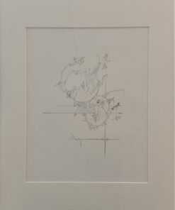 Vincent de Bruijn Outsiderart Vialumina Dordrecht